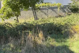 Продается Земля, Ивертубани