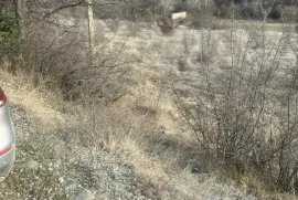 Продается Земля, Сельскохозяйственные, Dzegvi