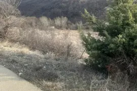 Продается Земля, Сельскохозяйственные, Dzegvi