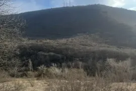 Продается Земля, Сельскохозяйственные, Dzegvi