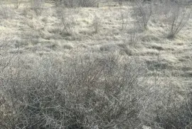 Продается Земля, Сельскохозяйственные, Dzegvi