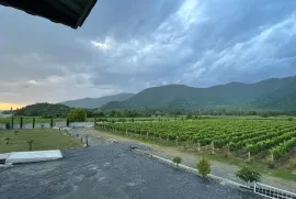 იყიდება, საწარმოო ფართი, ყვარელი