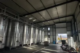 იყიდება, საწარმოო ფართი, ყვარელი