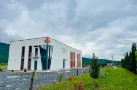 იყიდება, საწარმოო ფართი, ყვარელი