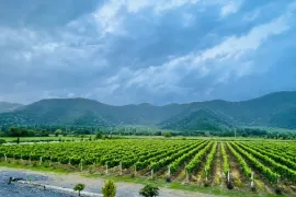 იყიდება, საწარმოო ფართი, ყვარელი