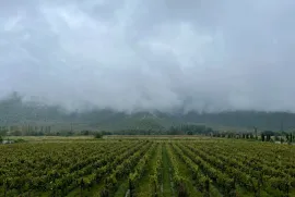 იყიდება, საწარმოო ფართი, ყვარელი