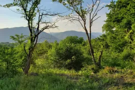 Продается Земля, Сельскохозяйственные, Bulachauri