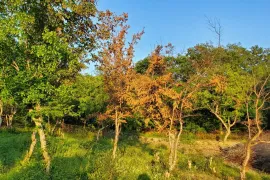 Продается Земля, Сельскохозяйственные, Bulachauri