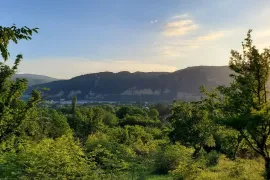 Продается Земля, Сельскохозяйственные, Bulachauri