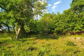 Продается Земля, Сельскохозяйственные, Bulachauri