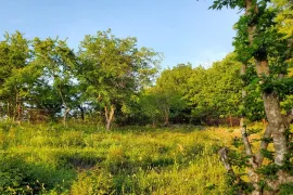 Продается Земля, Сельскохозяйственные, Bulachauri