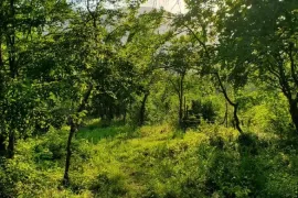 Продается Земля, Сельскохозяйственные, Bulachauri