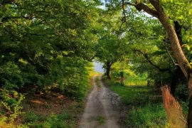 Продается Земля, Сельскохозяйственные, Bulachauri