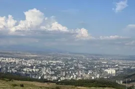 იყიდება მიწის ნაკვეთი, სასოფლო - სამეურნეო, შინდისი