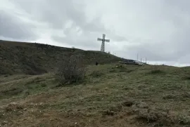 იყიდება მიწის ნაკვეთი, სასოფლო - სამეურნეო, ახალი რუსთავი