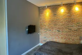 Аренда, 1 Kомнатная, Старое здание, Тбилиси, Сололаки