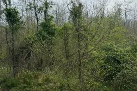 Продается Земля, Для Инвестиций, Капрован