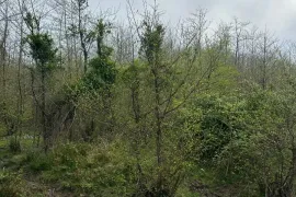 Продается Земля, Для Инвестиций, Капрован