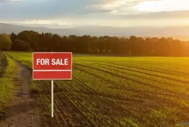 Land For Sale, Navdaraantkari