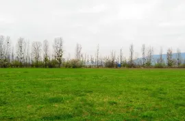 Land For Sale, Agricultural, Mukhrani
