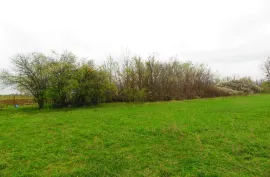 Land For Sale, Agricultural, Mukhrani