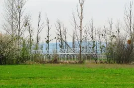 Land For Sale, Agricultural, Mukhrani