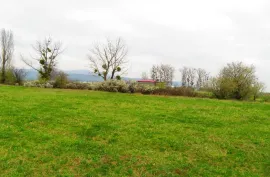 Land For Sale, Agricultural, Mukhrani