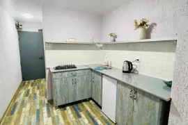 Daily Apartment Rent, Old building, Chavchavadze settlement