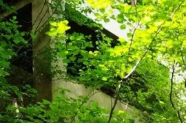 იყიდება სახლი, 4 ოთახიანი, მცხეთა, კოტორაანთკარი