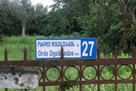 It is leased, Agricultural, Anaklia