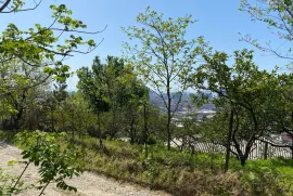 Land For Sale, Kakhaberi District