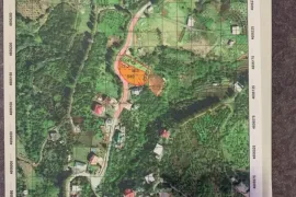 Land For Sale, Avgia