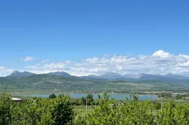 იყიდება სახლი, 6 ოთახიანი, დუშეთი, ბაზალეთი 