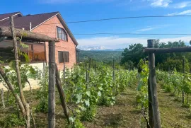 Продается Дом, 10 Kомнатная, Ткибули, Курсеби