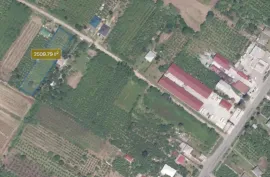 Land For Sale, Agricultural, Chitatskari