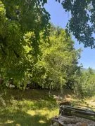 Land For Sale, Agricultural, Kvashta
