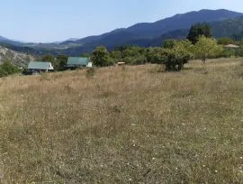 იყიდება მიწის ნაკვეთი, არა სასოფლო - სამეურნეო, ცემი