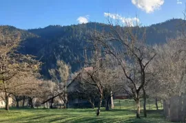 Land For Sale, Agricultural, Tsagveri