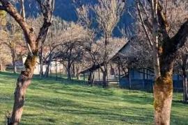 Land For Sale, Agricultural, Tsagveri