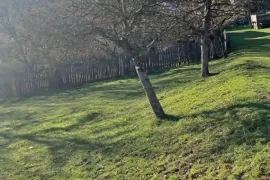 Land For Sale, Agricultural, Tsagveri