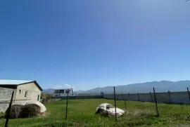 იყიდება მიწის ნაკვეთი, სასოფლო - სამეურნეო, მისაქციელი