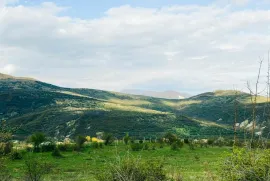 იყიდება მიწის ნაკვეთი