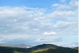 იყიდება მიწის ნაკვეთი