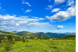 იყიდება მიწის ნაკვეთი