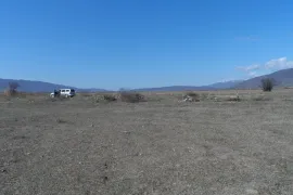 Продается Земля, Сельскохозяйственные, Мухрани