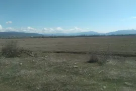 Продается Земля, Сельскохозяйственные, Мухрани