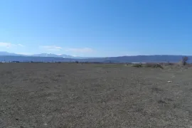 Продается Земля, Сельскохозяйственные, Мухрани