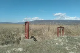 Продается Земля, Сельскохозяйственные, Мухрани