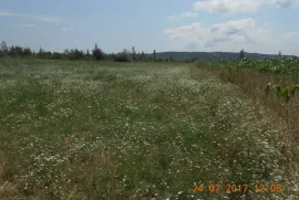 Продается Земля, Сельскохозяйственные, Martkopi