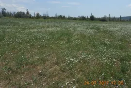 Продается Земля, Сельскохозяйственные, Martkopi